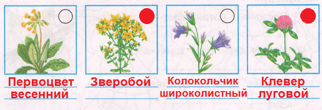 Решение рисунок 1