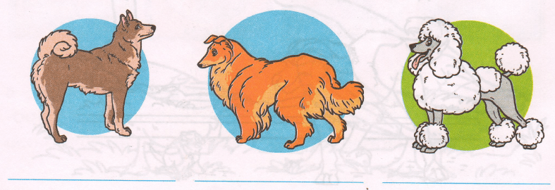 Задание рисунок 1