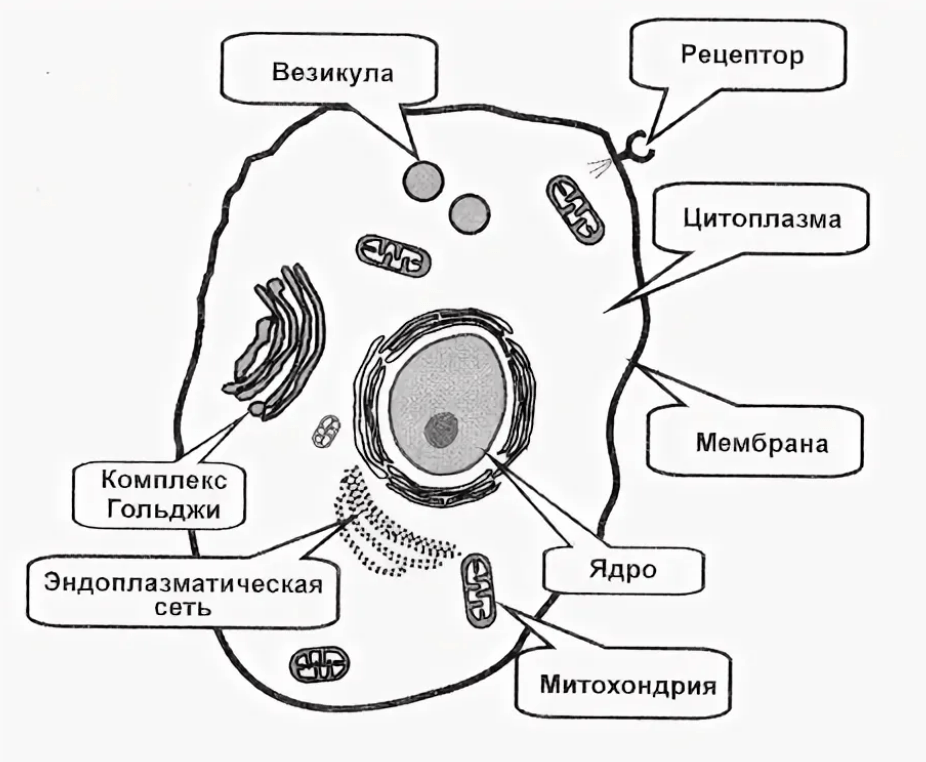 Решение рисунок 1