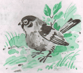 Задание рисунок 1